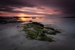 Machrihanish 2592