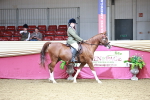 SBM_02965