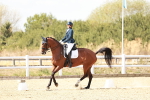 SBM_019234