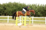 SBM_009875