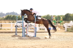 SBM_001801