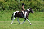 3E7A8643