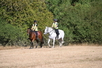 WJ6_7271