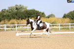 SBM_009247