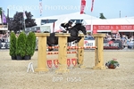 BPP_0554