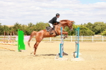 SBM_006537