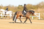 SBM_003771
