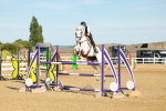 SBM_003246