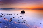 HELVIC DAWN