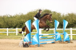 Class 15 - Senior British novice - 90cm portfolio
