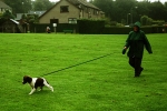 Wet Walk at Hillside Park copy