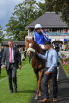 250823-Race 1-Marhaba The Champ-0173