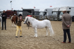 SBM_005968