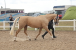 SBM_07625