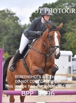 CLASS 7 Senior Newcomers/ 1.10m OpenSenior Newcomers/ 1.10m Open portfolio