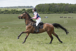 BVHT 140517  IXC -231