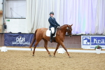 SBM_004959