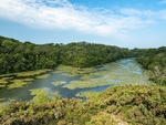 Bosherston Lily Ponds, Bosherton, Pembrokeshire