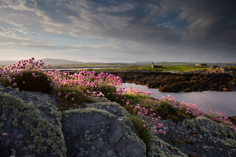 The Evening Thrift