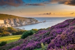 z3924 A Late Summer Evening, The Needles