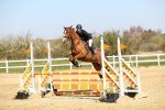 SBM_000847