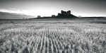 Duffus castle at dawn bw