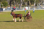 One horse and cart 6. 0A3A9547