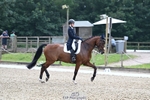 D-411-Clementine.Crosthwaite.Eyre portfolio