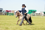 SBM_01783