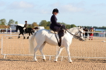 SBM_08164