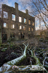 Griffe Mill 6