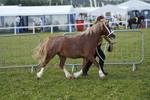 DSC05465