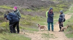023 A pause for nature study courtesy of D Thewlis