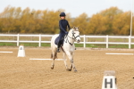 SBM_000271