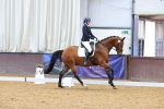 SBM_000253