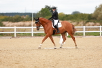 SBM_001919