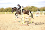 SBM_003587