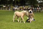 SBM_62774