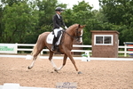 113-Ruby.Gumbley-Nova's.Golden.Dream portfolio