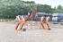 BPP_2878