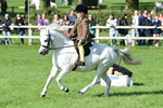 SBM_50314