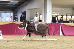 SBM_09955