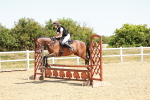 SBM_003710