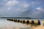 Bramble Bush Bay Blocks