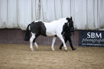 SBM_5543
