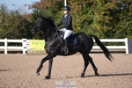 Cls 15 British Novice and 90cm Open portfolio