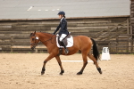 SBM_000906