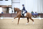 SBM_007584