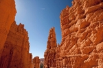Bryce Navajo Loop Trail 12 x 18