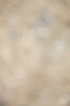 SBM_004817